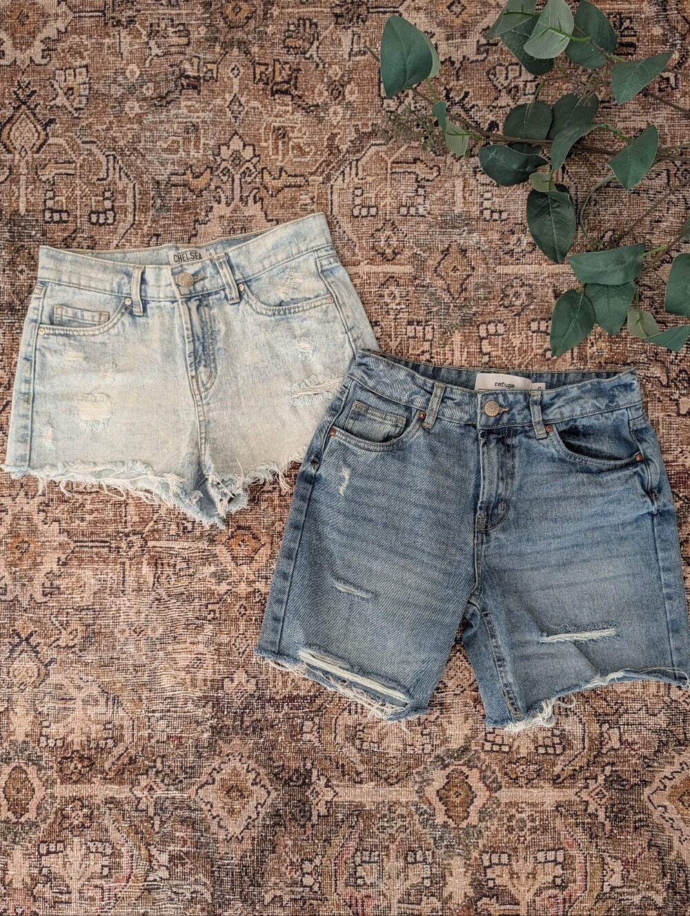 refuge jean shorts lot 0